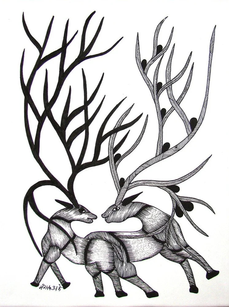 Deer