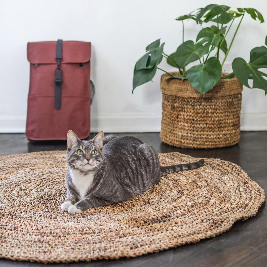 Round Indoor/Outdoor Rug