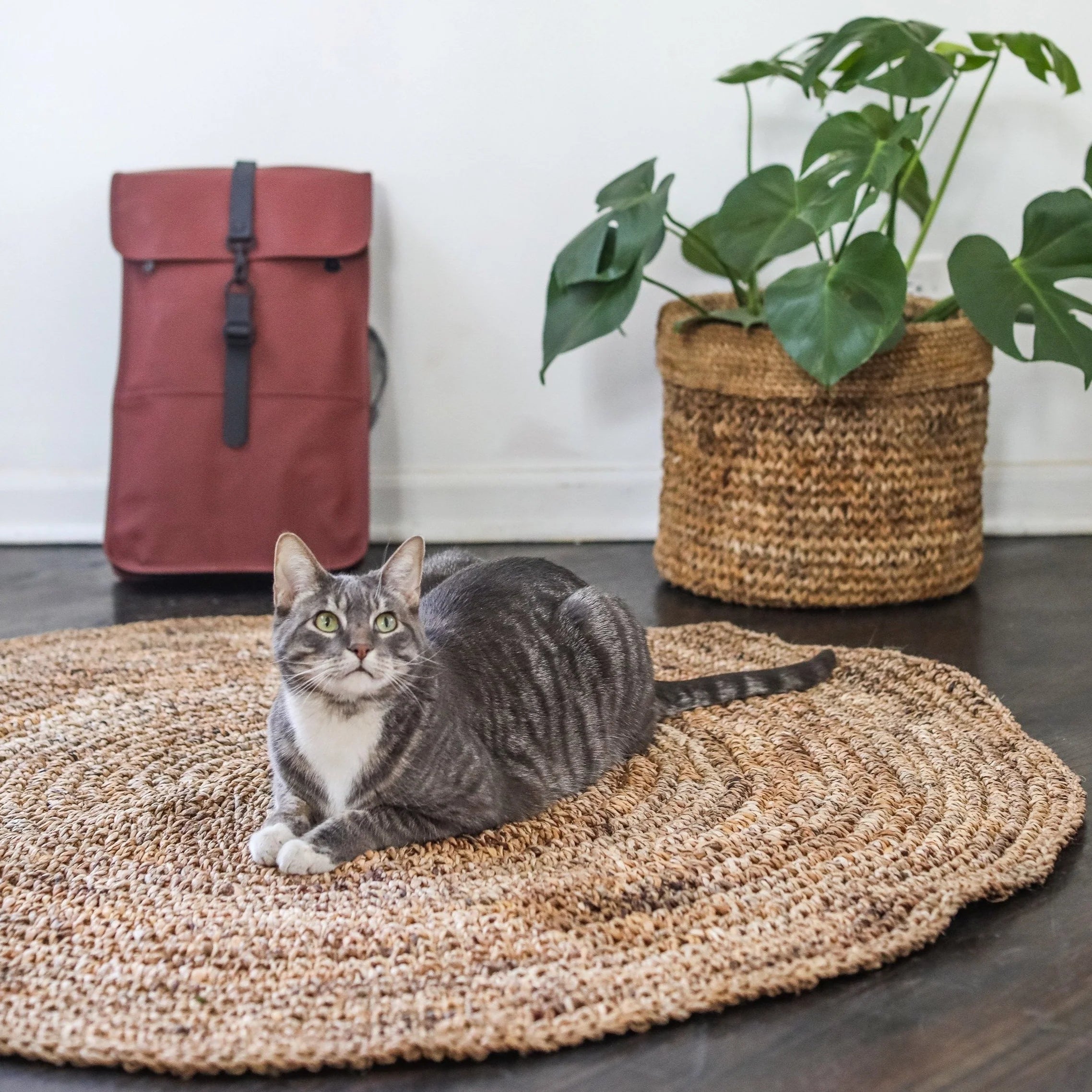 Round Indoor/Outdoor Rug